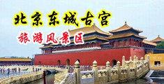 黑丝美女鸡吧漫画中国北京-东城古宫旅游风景区